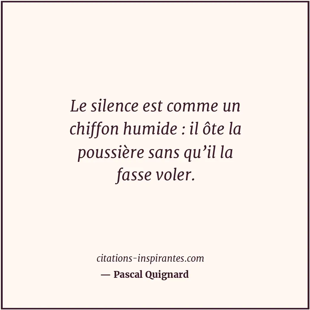 Le silence est comme un chiffon humide : il ôte la poussière sans qu’il la fasse... Citation de Pascal Quignard