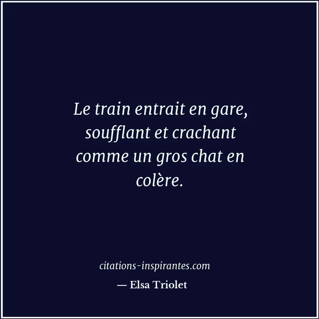 Le train entrait en gare, soufflant et crachant comme un gros chat en colère. Citation de Elsa Triolet