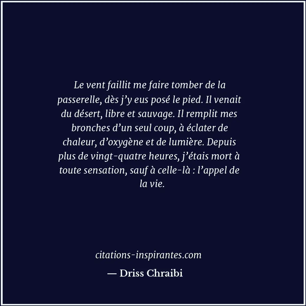 Le vent faillit me faire tomber de la passerelle, dès j’y eus posé le pied. Il v... Citation de Driss Chraibi