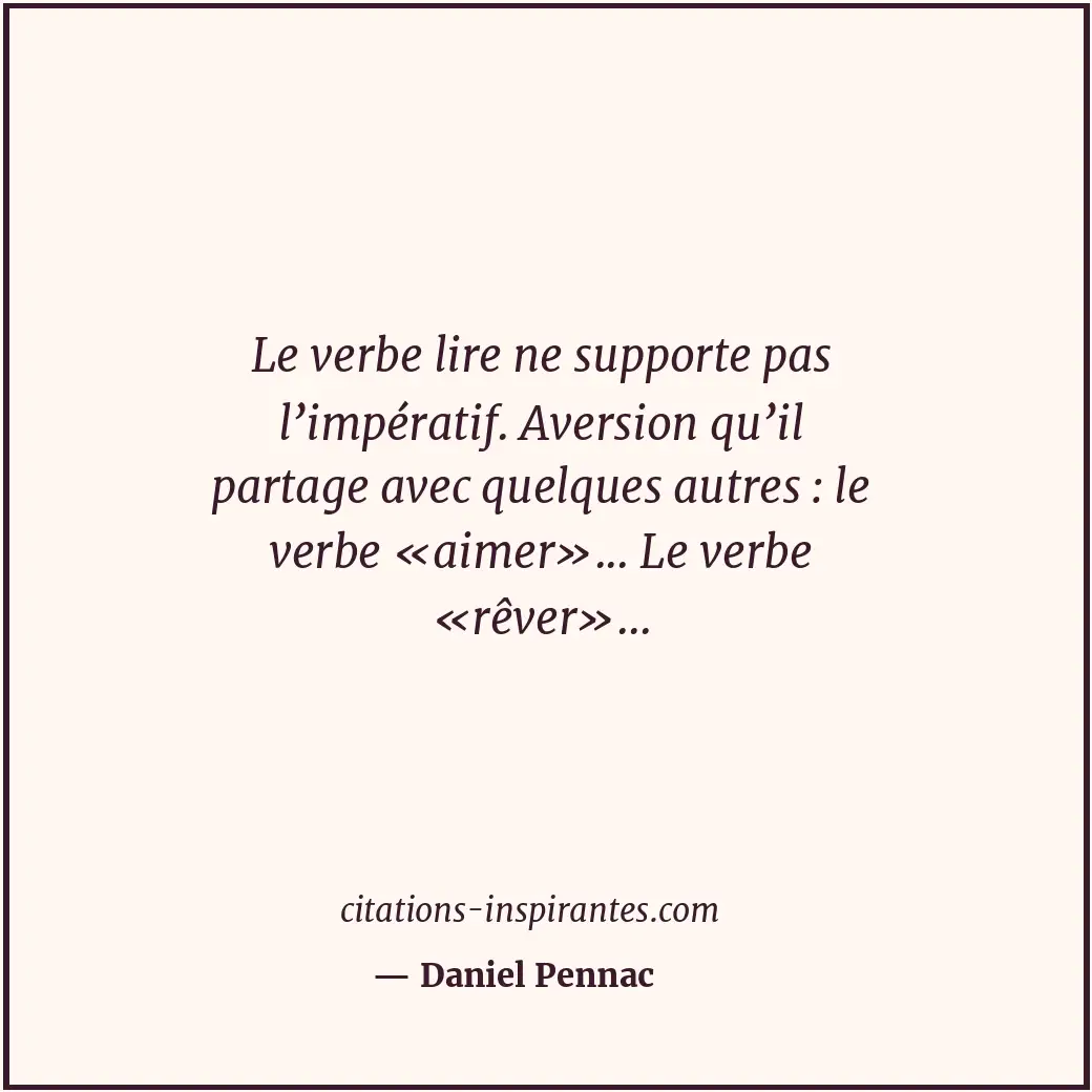 Citation de Daniel Pennac
