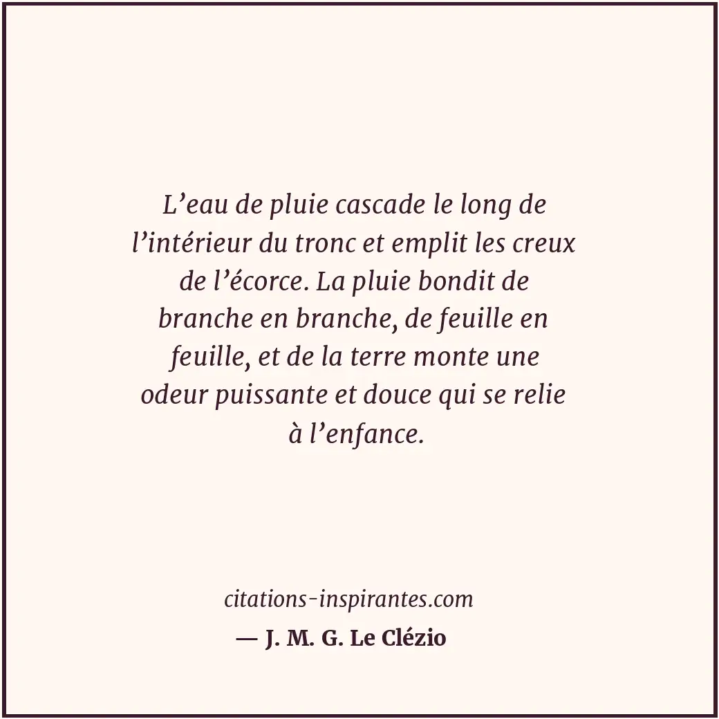 L’eau de pluie cascade le long de l’intérieur du tronc et emplit les creux de l’... Citation de J. M. G. Le Clézio