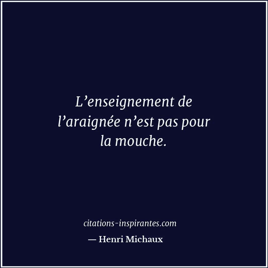 L’enseignement de l’araignée n’est pas pour la mouche. Citation de Henri Michaux