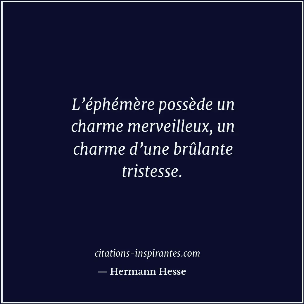 Citation de Hermann Hesse
