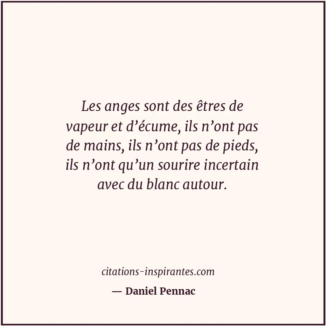 Citation de Daniel Pennac