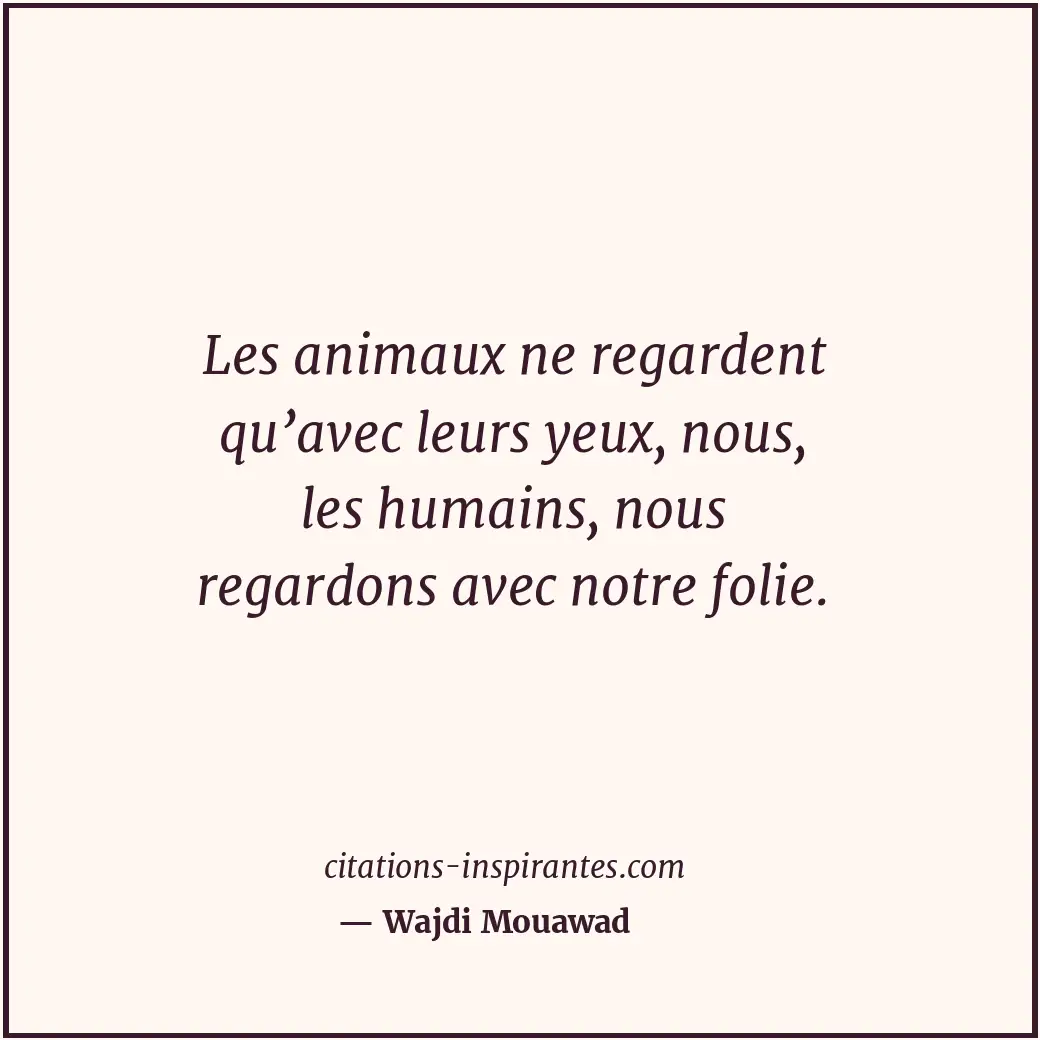 Les animaux ne regardent qu’avec leurs yeux, nous, les humains, nous regardons a... Citation de Wajdi Mouawad