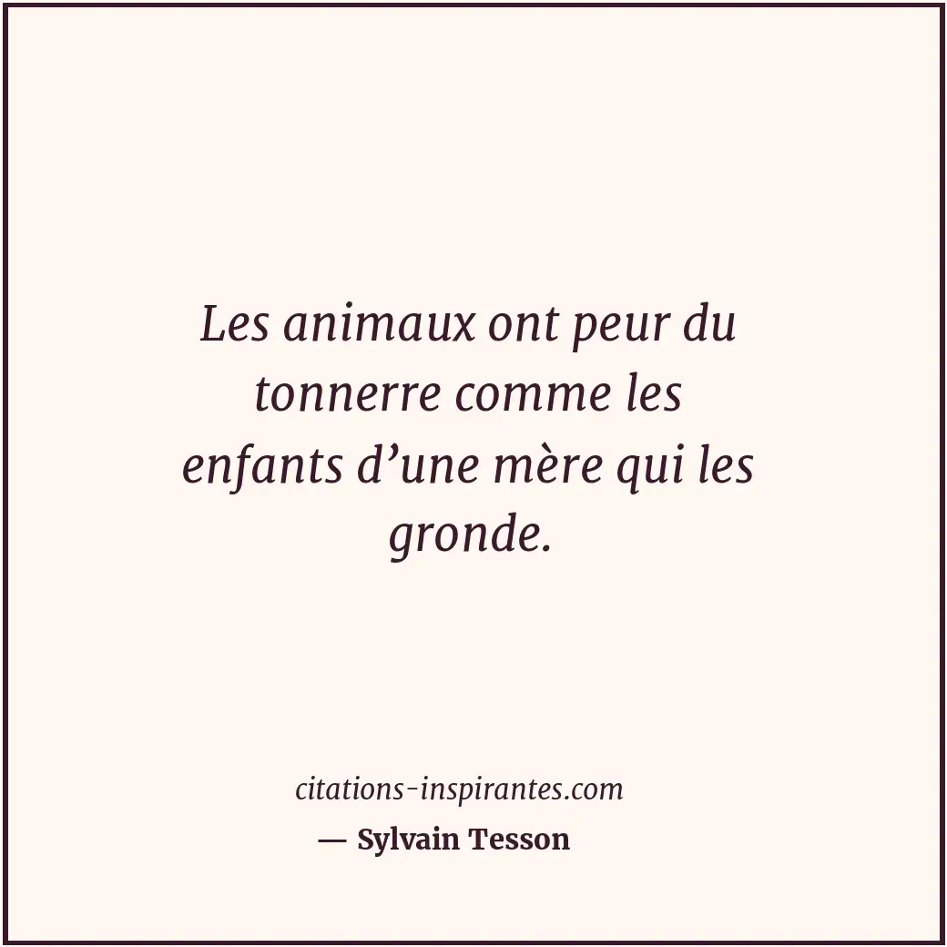 Citation de Sylvain Tesson