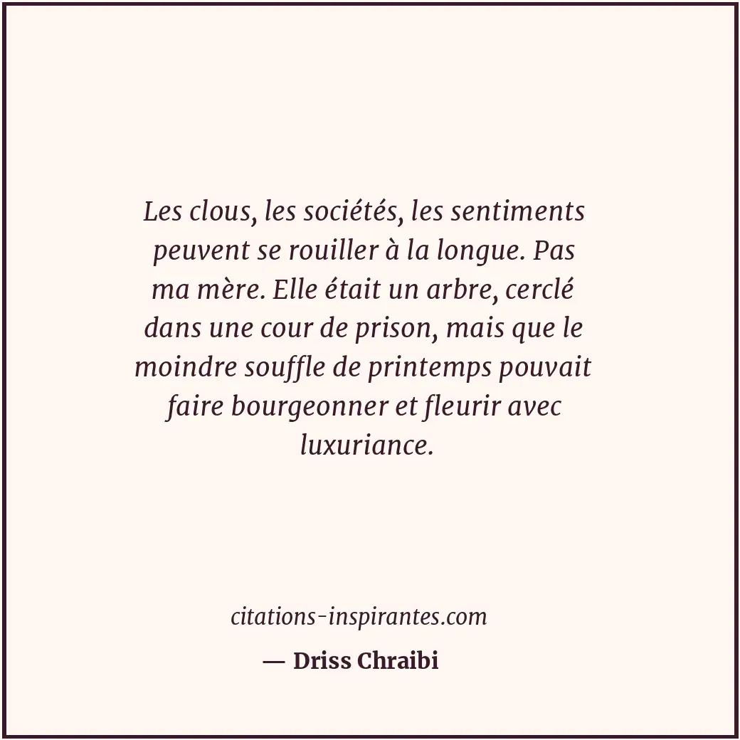 Citation de Driss Chraibi