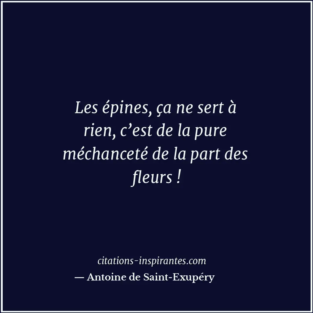 Les épines, ça ne sert à rien, c’est de la pure méchanceté de la part des fleurs... Citation de Antoine de Saint-Exupéry