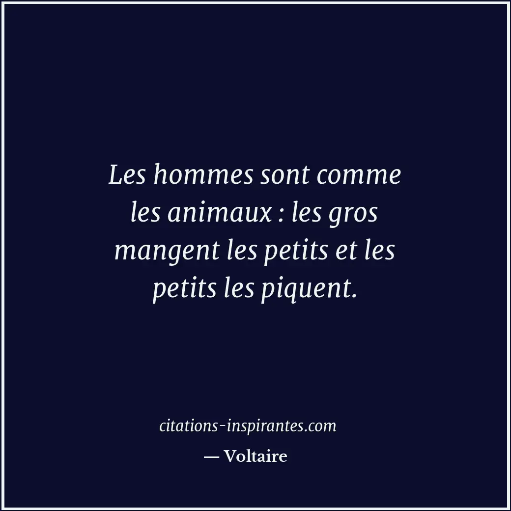 Citation de Voltaire