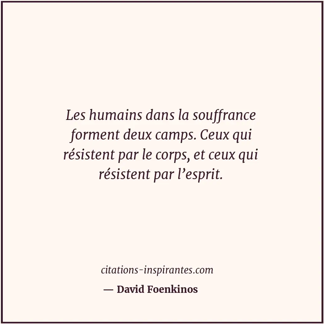 Citation de David Foenkinos