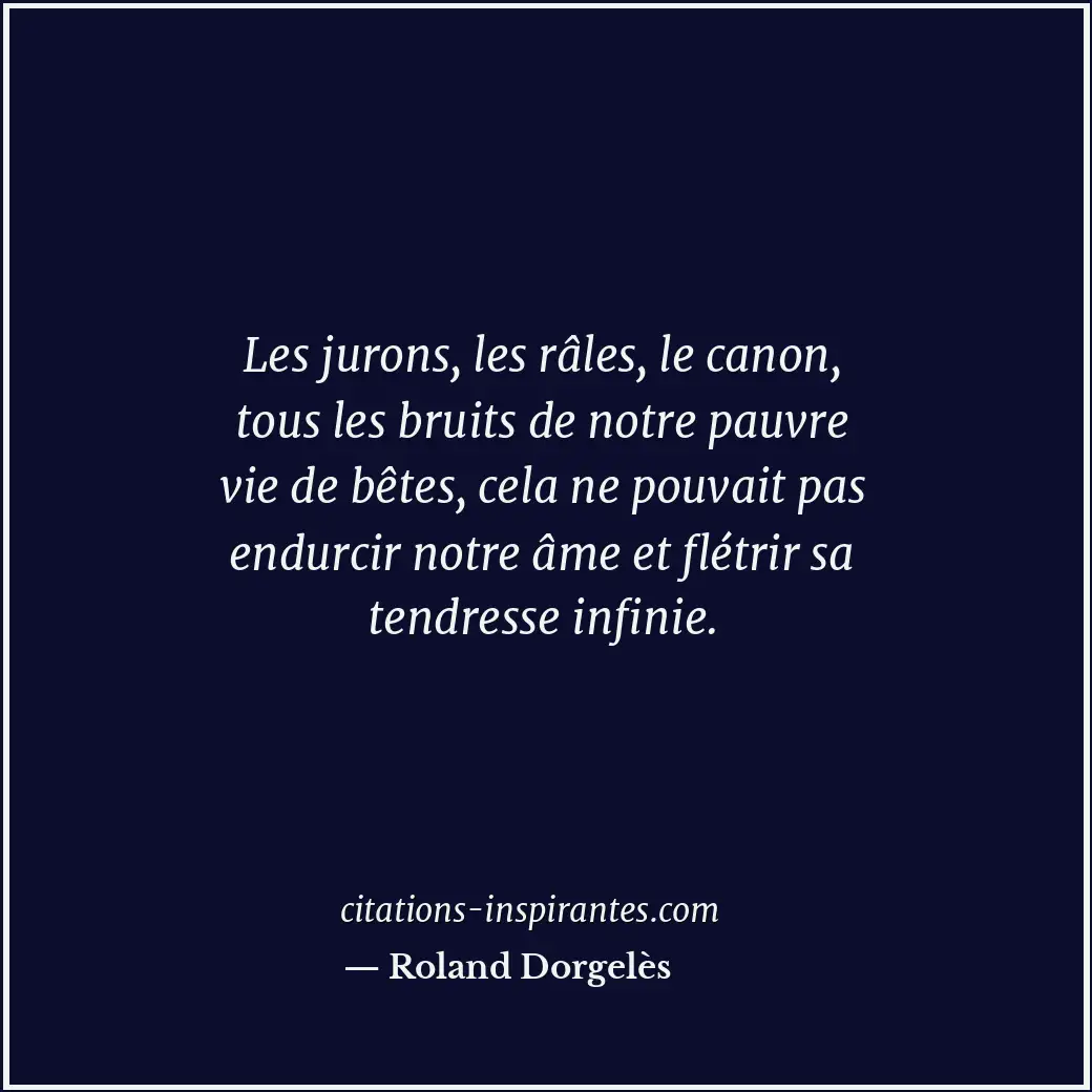 Les jurons, les râles, le canon, tous les bruits de notre pauvre vie de bêtes, c... Citation de Roland Dorgelès