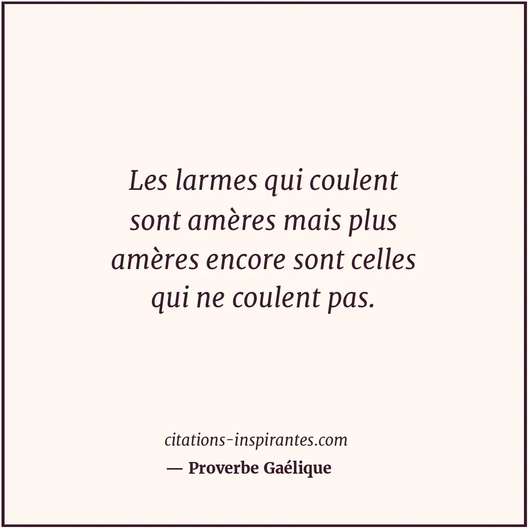 Les larmes qui coulent sont amères mais plus amères encore sont celles qui ne co... Citation de Proverbe Gaélique