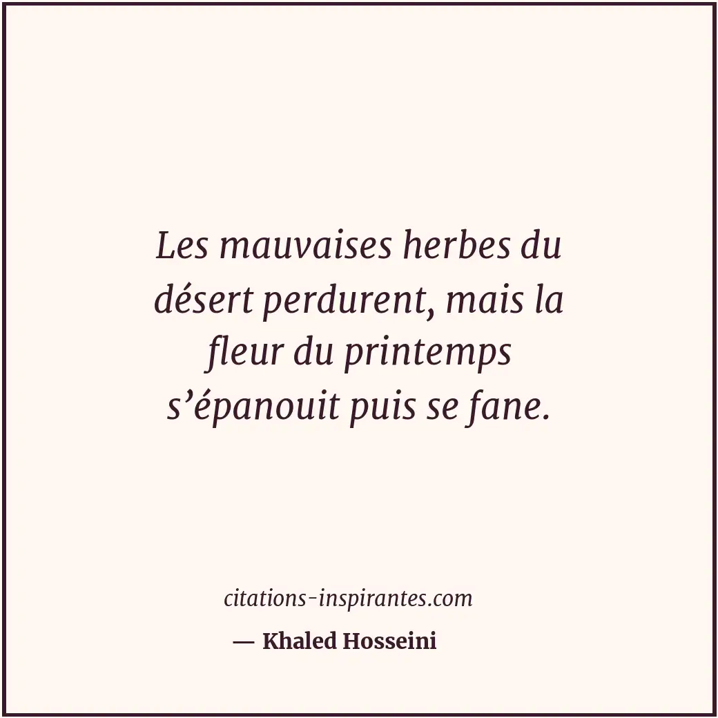 Les mauvaises herbes du désert perdurent, mais la fleur du printemps s’épanouit... Citation de Khaled Hosseini