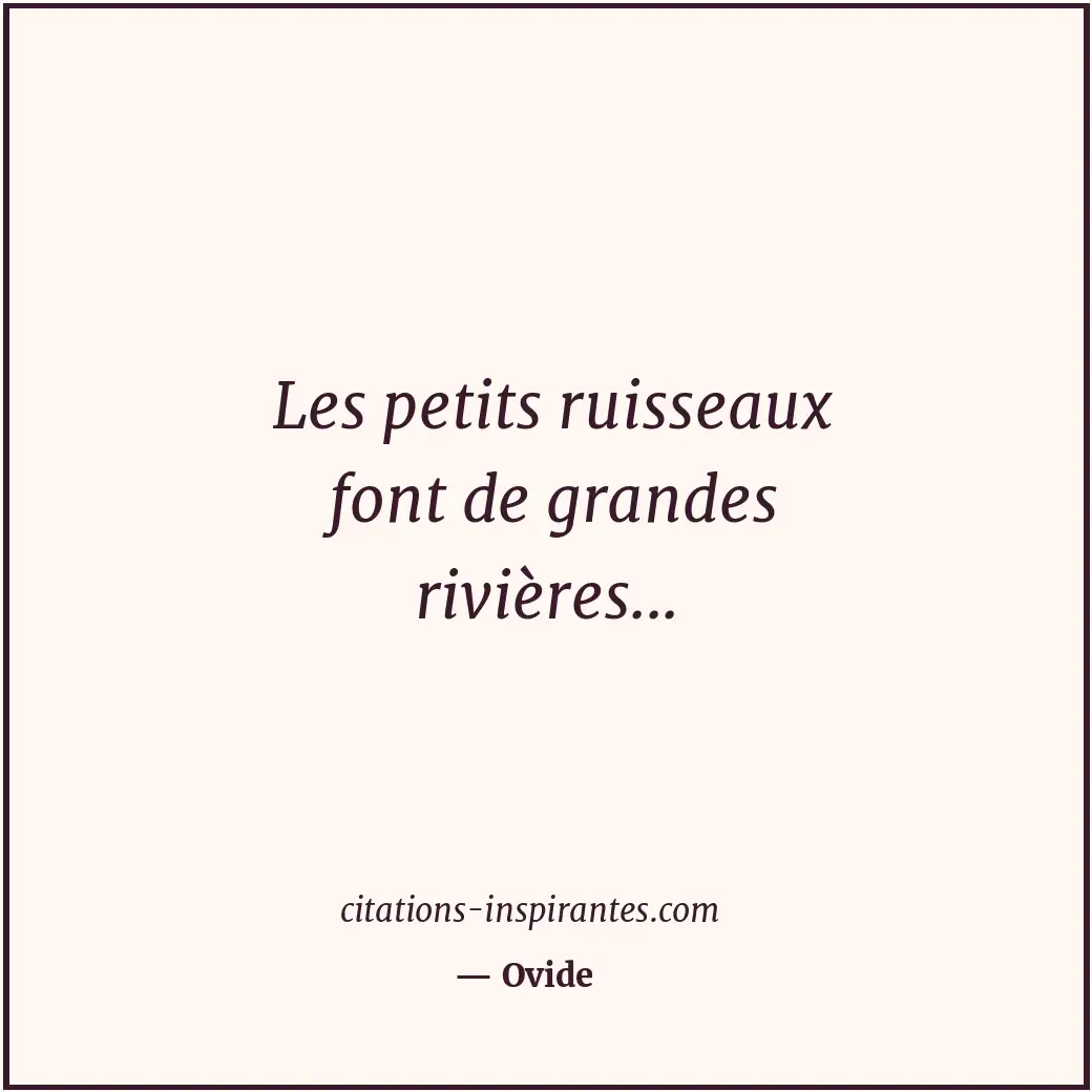 Les petits ruisseaux font de grandes rivières... Citation de Ovide