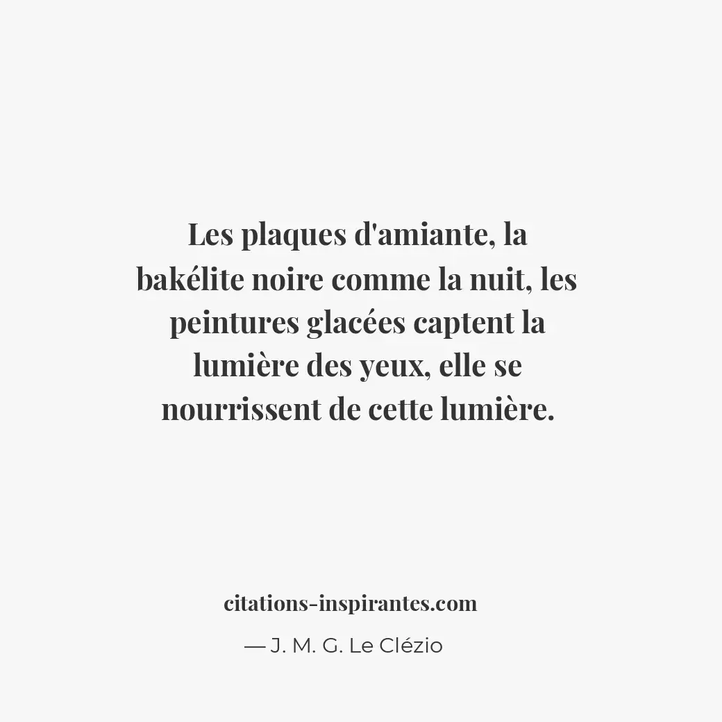 Citation de J. M. G. Le Clézio