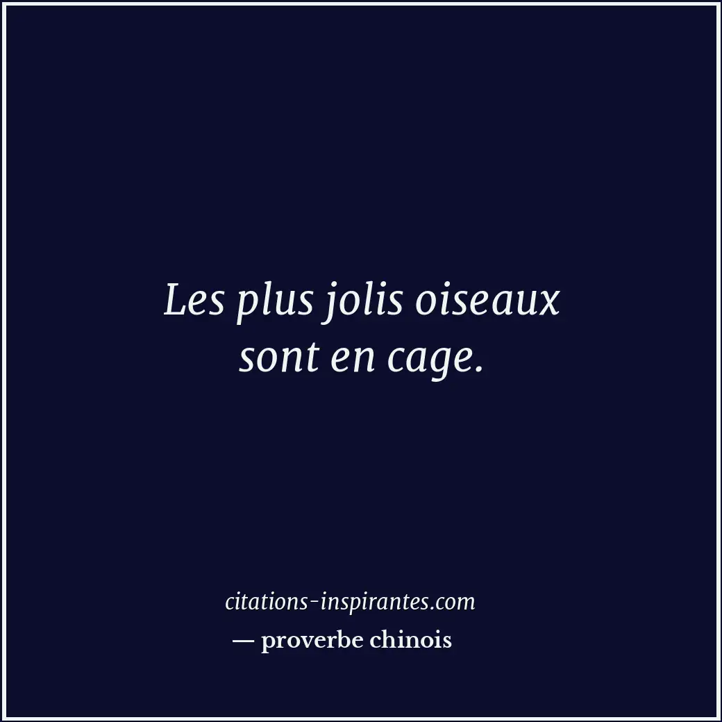 Citation de proverbe chinois