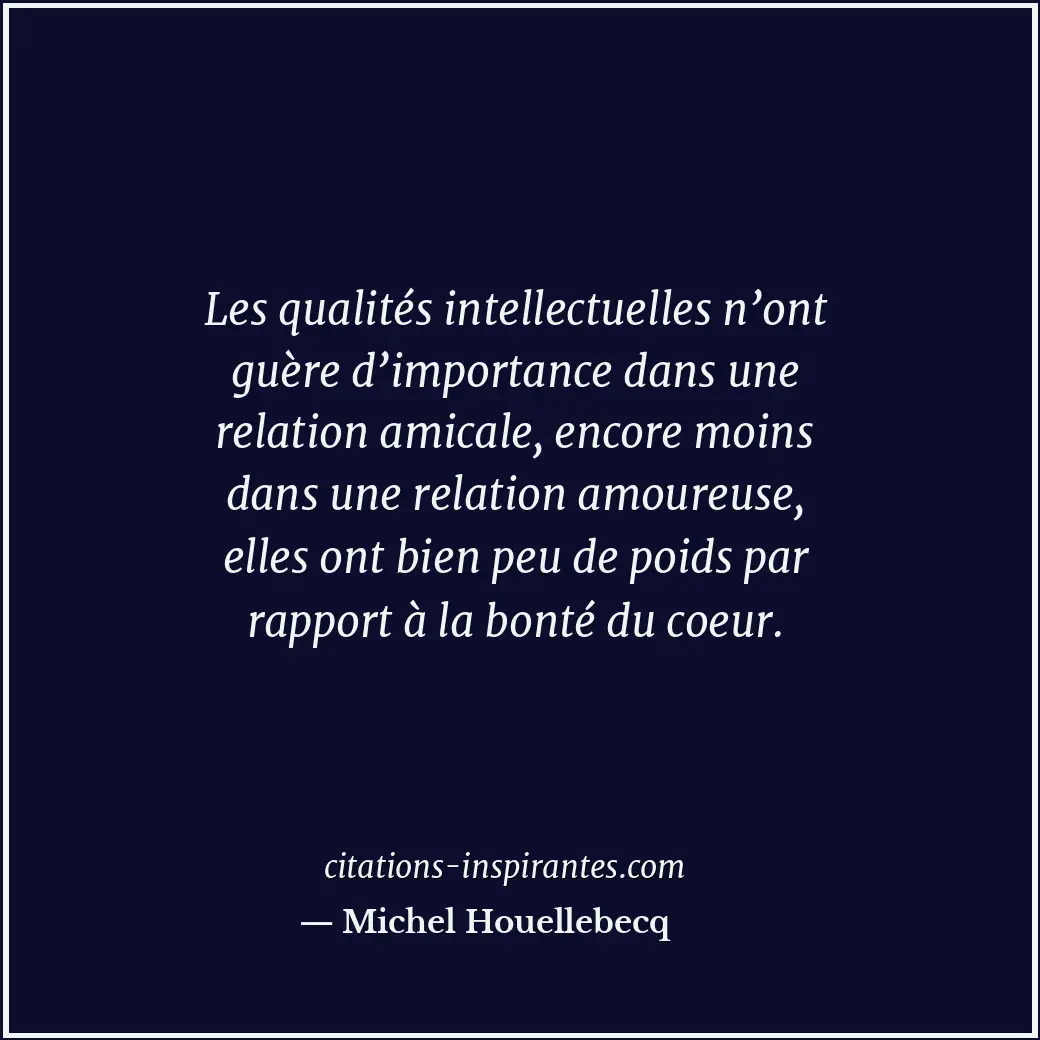 Citation de Michel Houellebecq