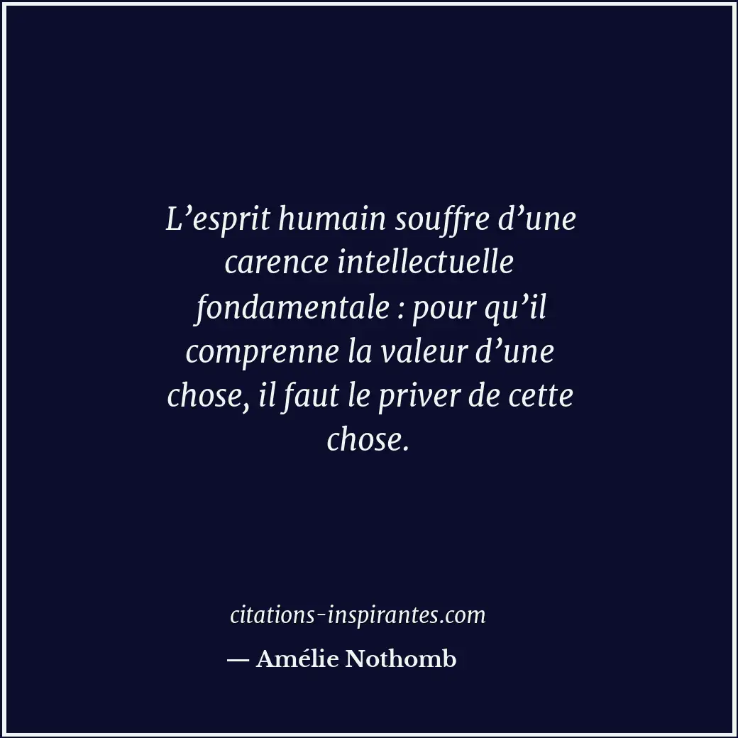 Citation de Amélie Nothomb