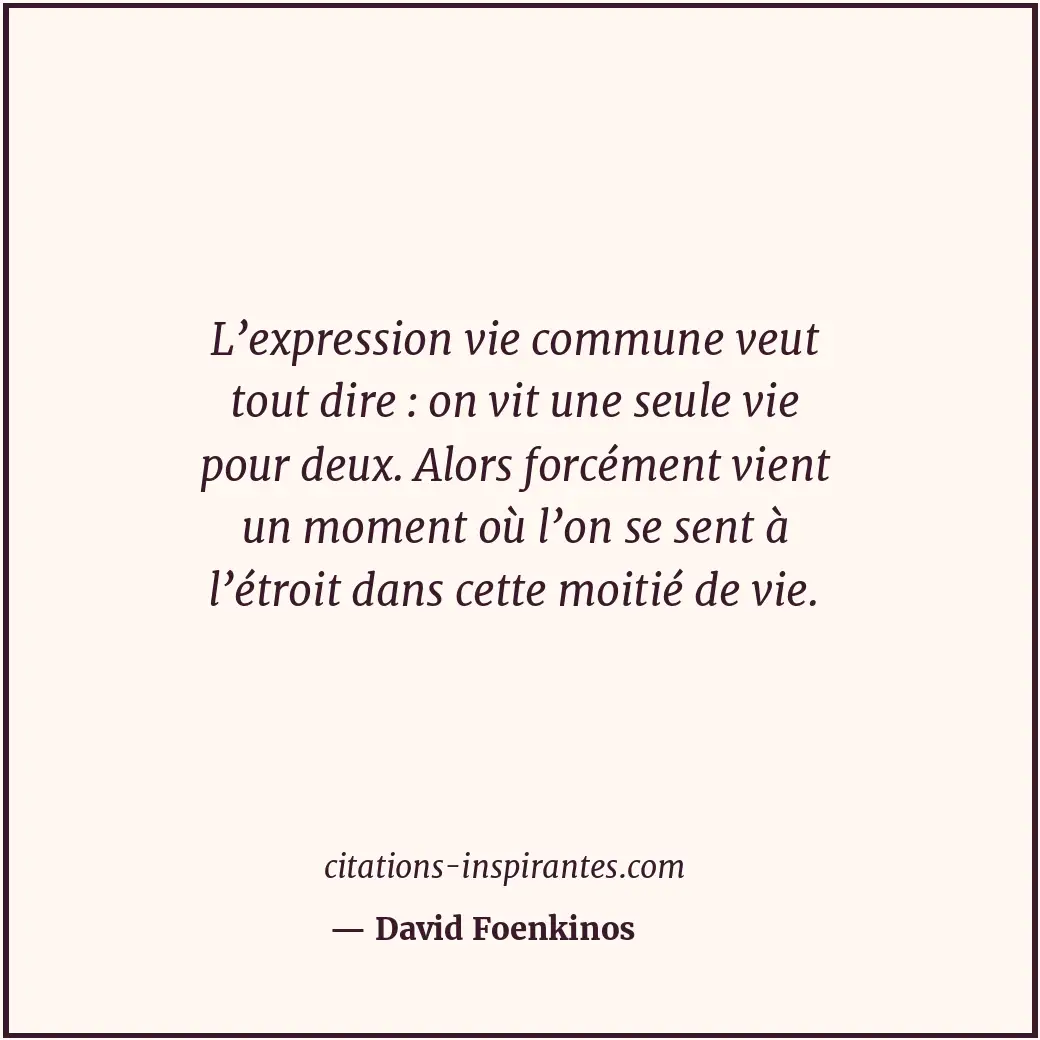 Citation de David Foenkinos