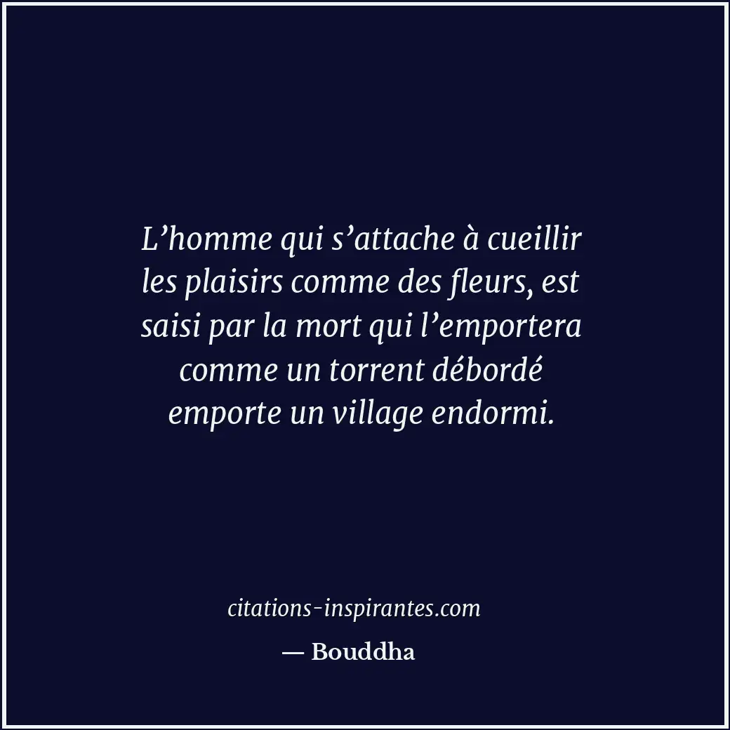 Citation de Bouddha