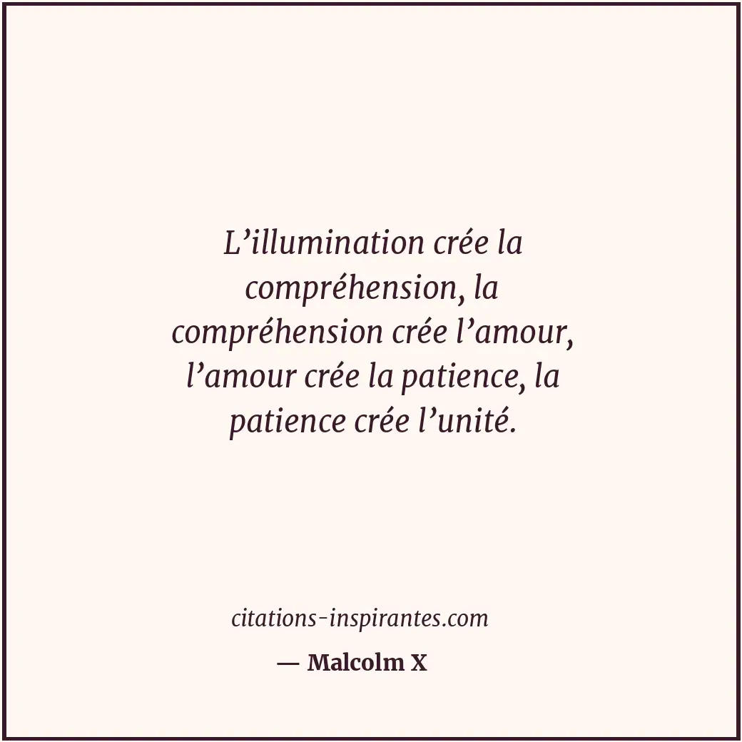 Citation de Malcolm X