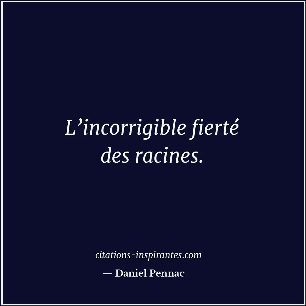 Citation de Daniel Pennac