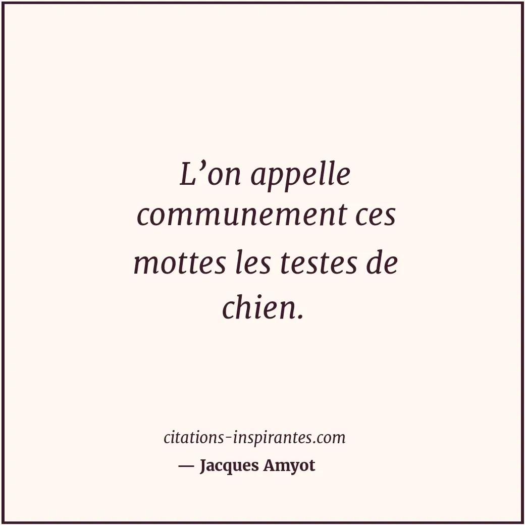 Citation de Jacques Amyot