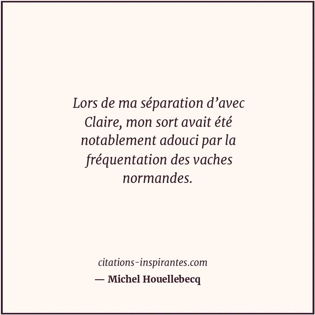 Citation de Michel Houellebecq
