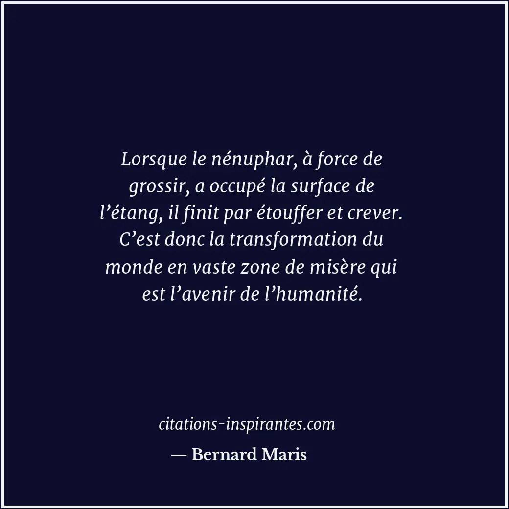 Lorsque le nénuphar, à force de grossir, a occupé la surface de l’étang, il fini... Citation de Bernard Maris