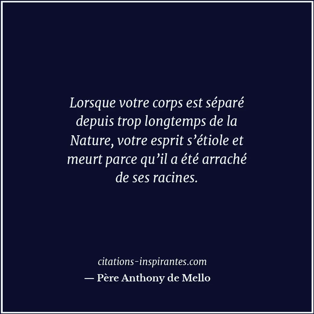 Citation de Père Anthony de Mello