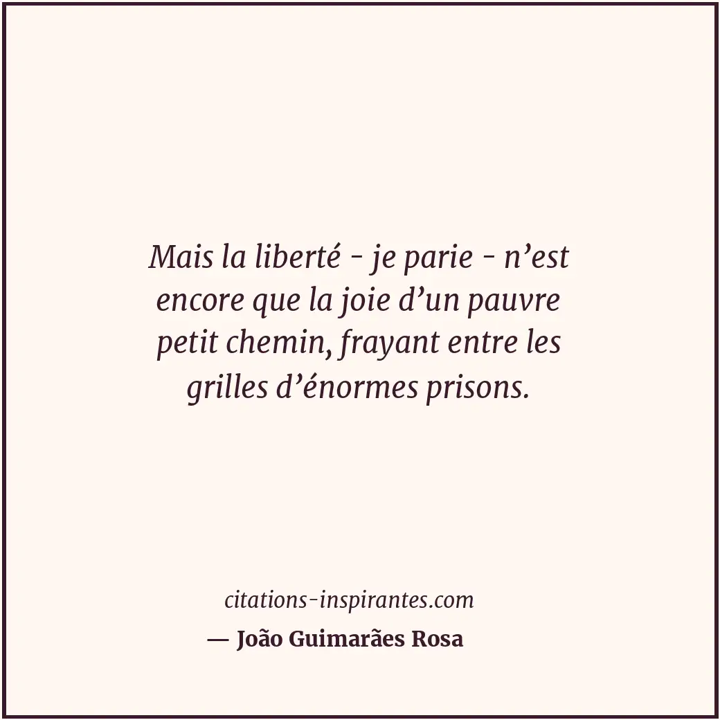 Citation de João Guimarães Rosa