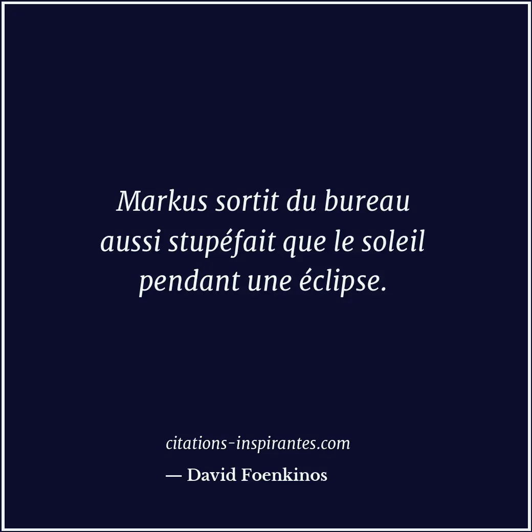 Citation de David Foenkinos