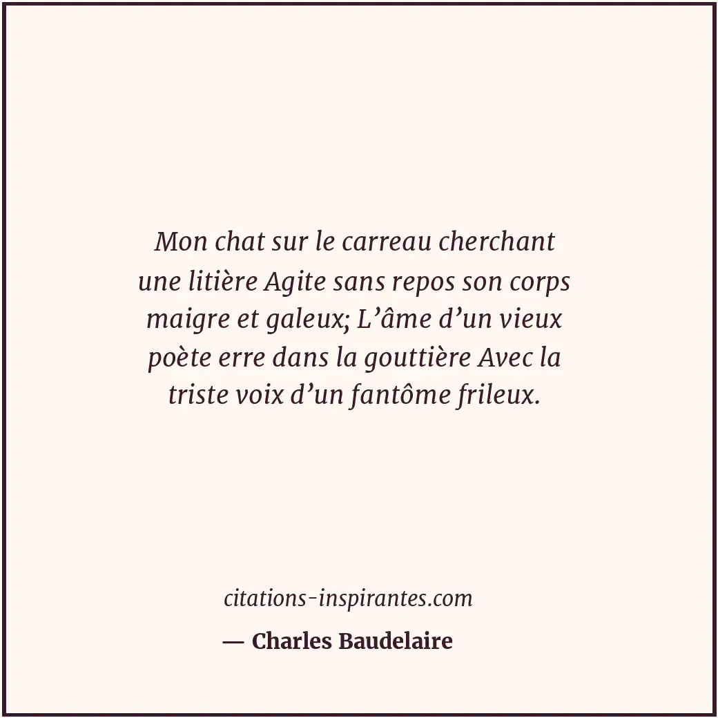 Mon chat sur le carreau cherchant une litière Agite sans repos son corps maigre... Citation de Charles Baudelaire