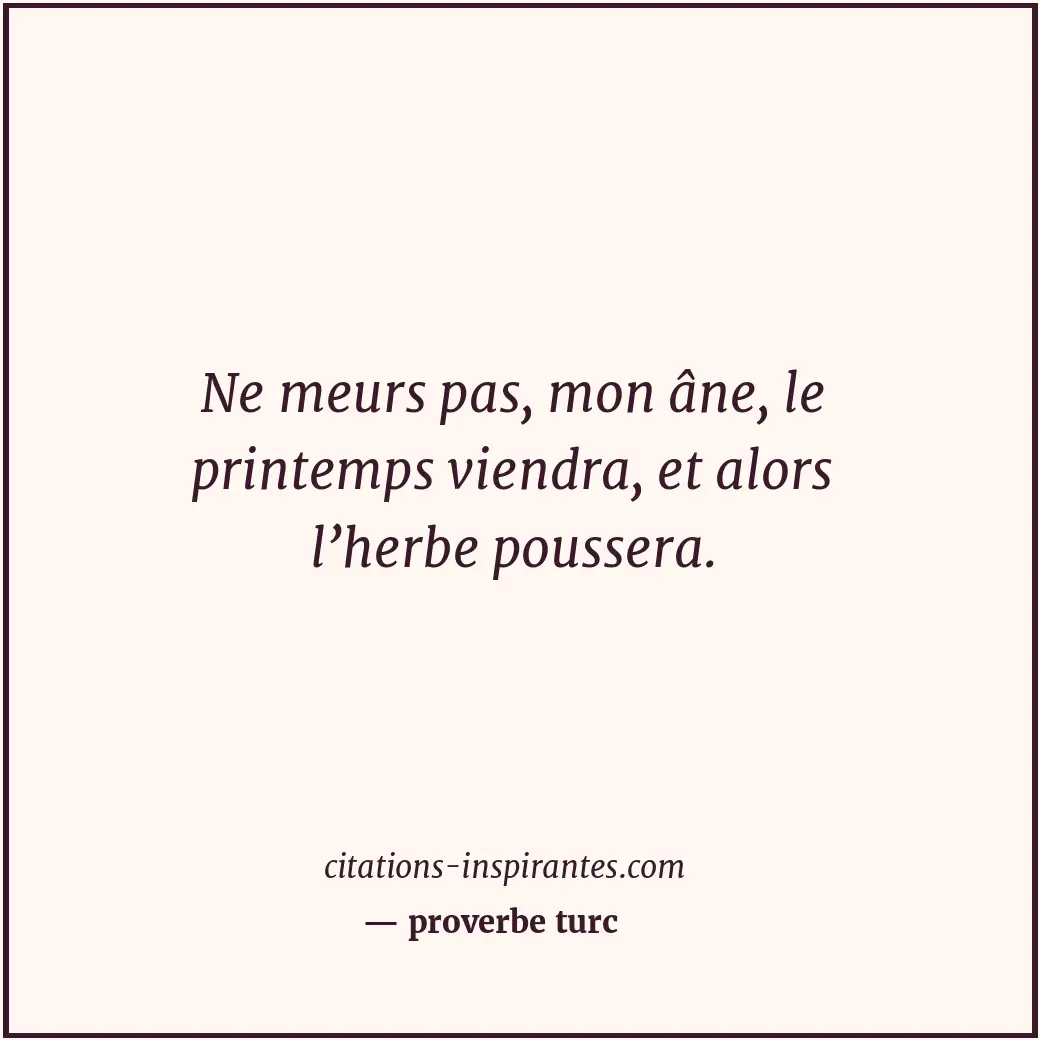 Citation de proverbe turc