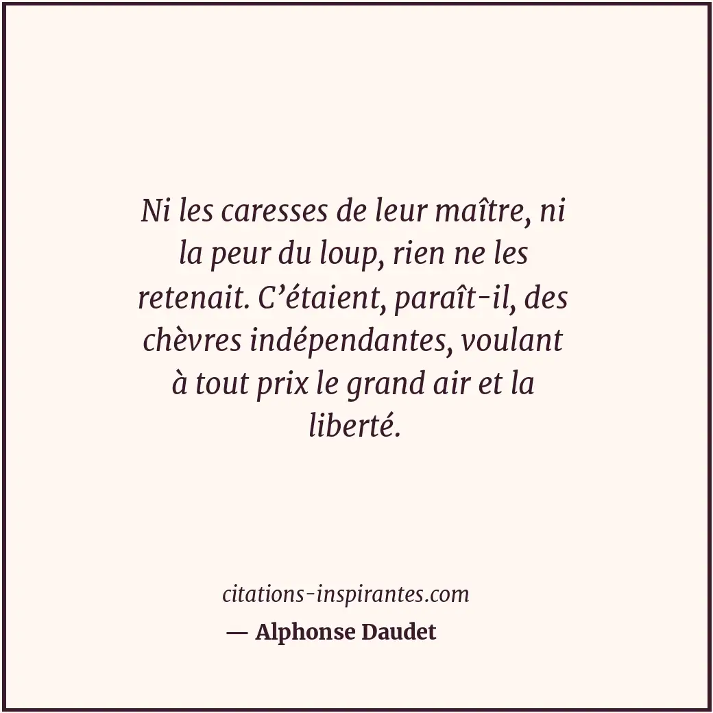 Citation de Alphonse Daudet