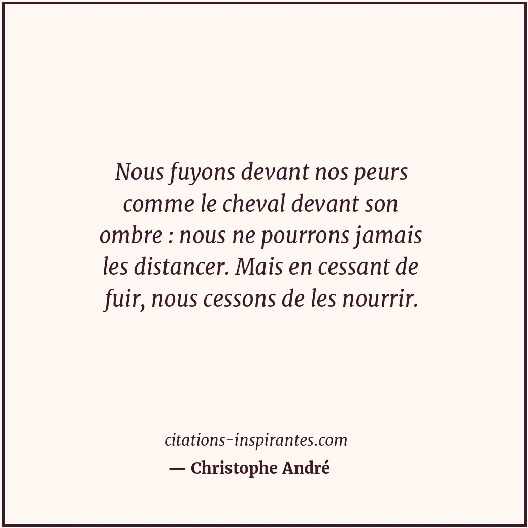 Citation de Christophe André