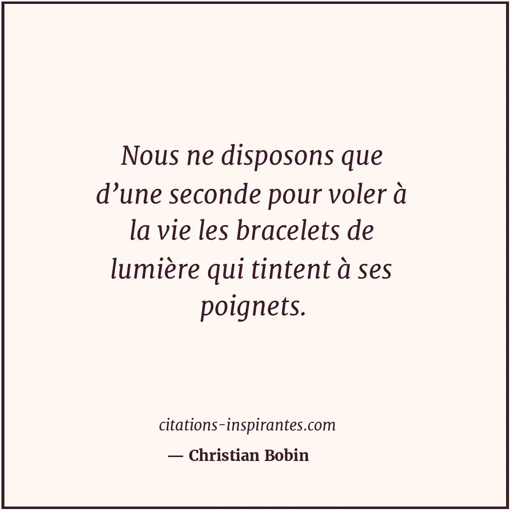 Nous ne disposons que d’une seconde pour voler à la vie les bracelets de lumière... Citation de Christian Bobin