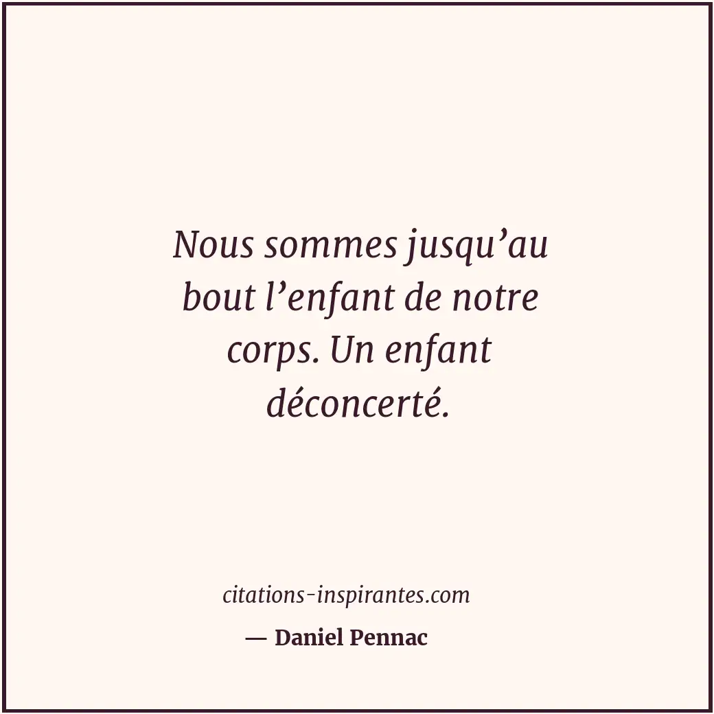 Citation de Daniel Pennac