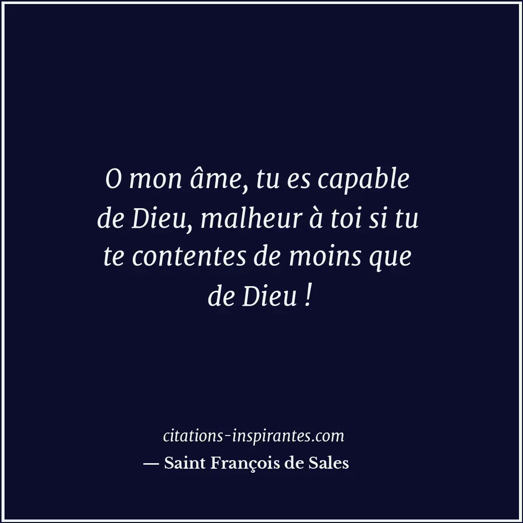 Citation de Saint François de Sales