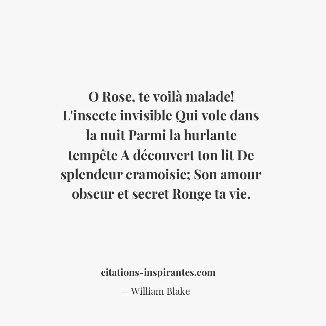 Citation de William Blake