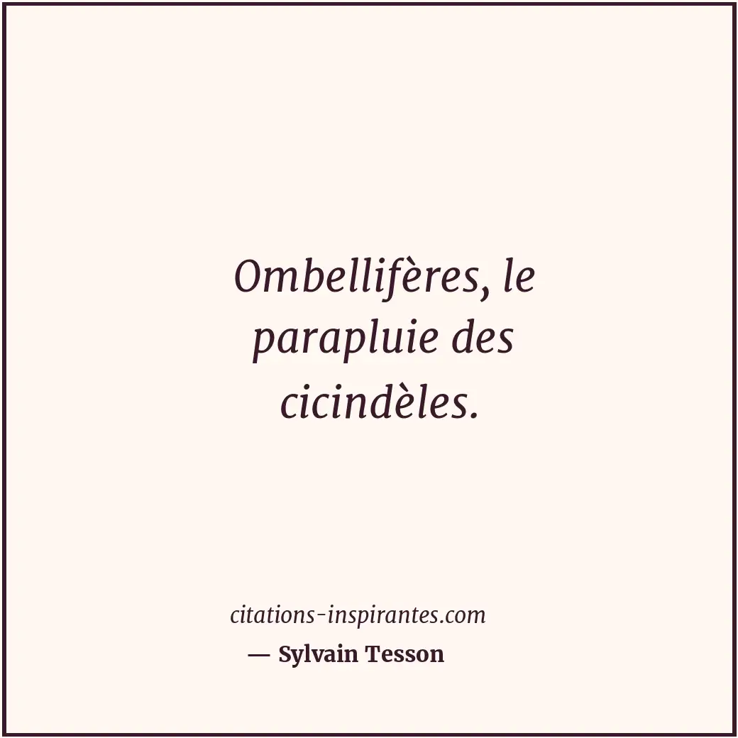 Citation de Sylvain Tesson