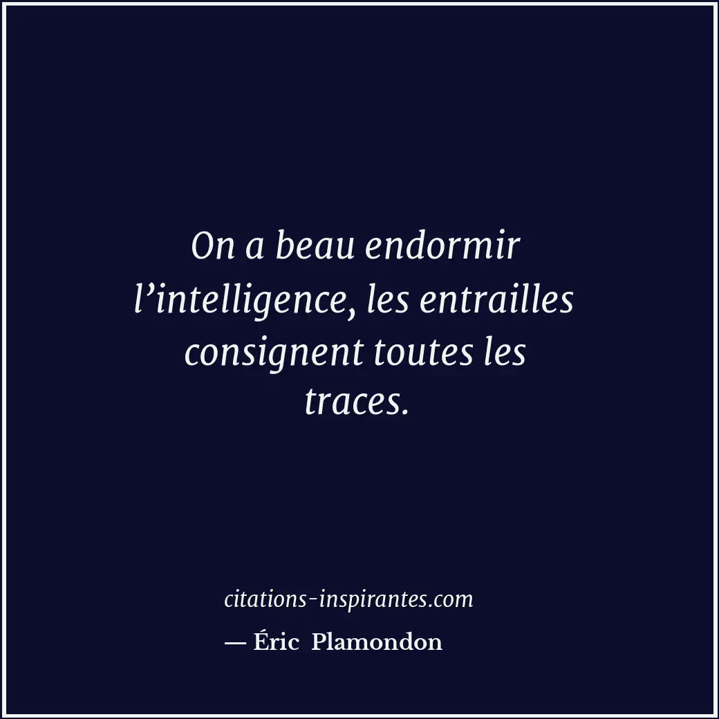 Citation de Éric Plamondon