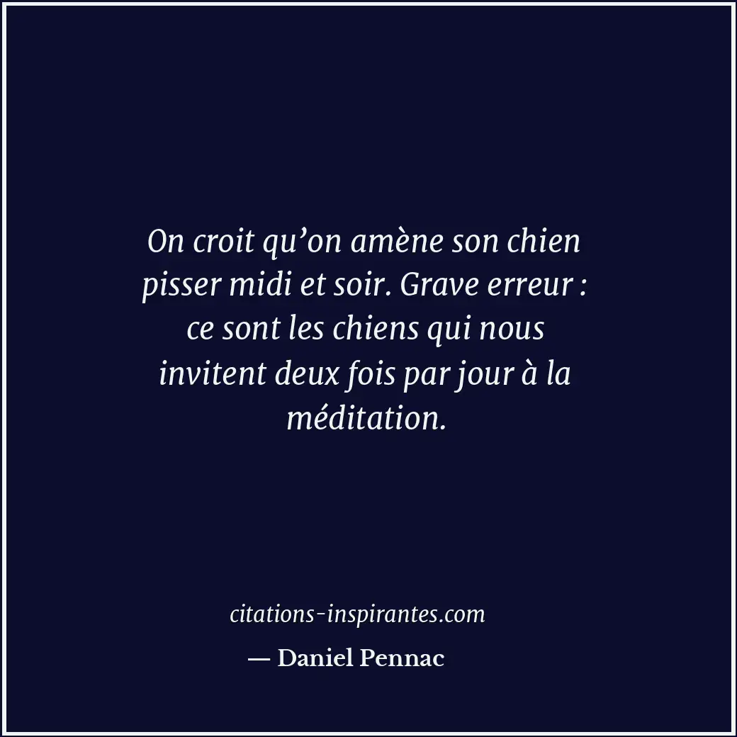 On croit qu’on amène son chien pisser midi et soir. Grave erreur : ce sont les c... Citation de Daniel Pennac