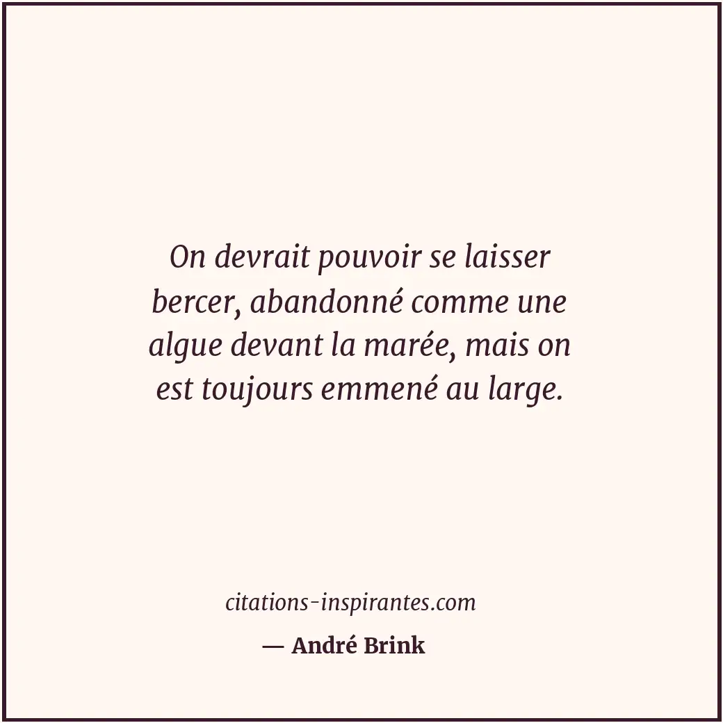 On devrait pouvoir se laisser bercer, abandonné comme une algue devant la marée,... Citation de André Brink