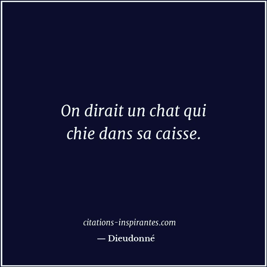 Citation de Dieudonné