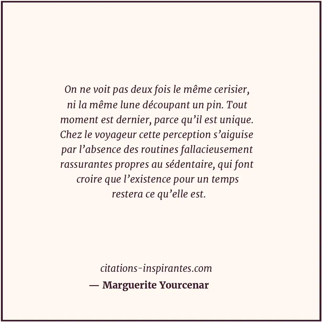 On ne voit pas deux fois le même cerisier, ni la même lune découpant un pin. Tou... Citation de Marguerite Yourcenar