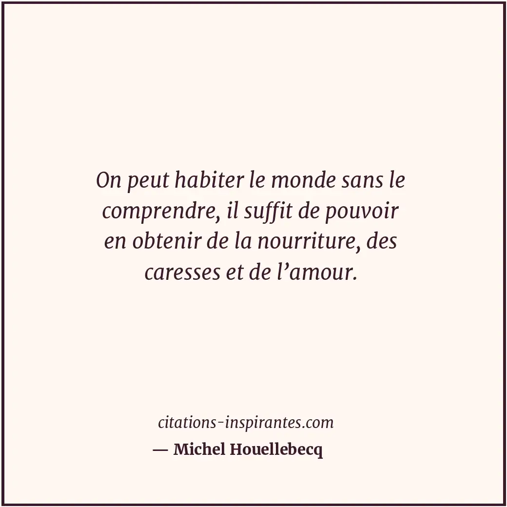 On peut habiter le monde sans le comprendre, il suffit de pouvoir en obtenir de... Citation de Michel Houellebecq