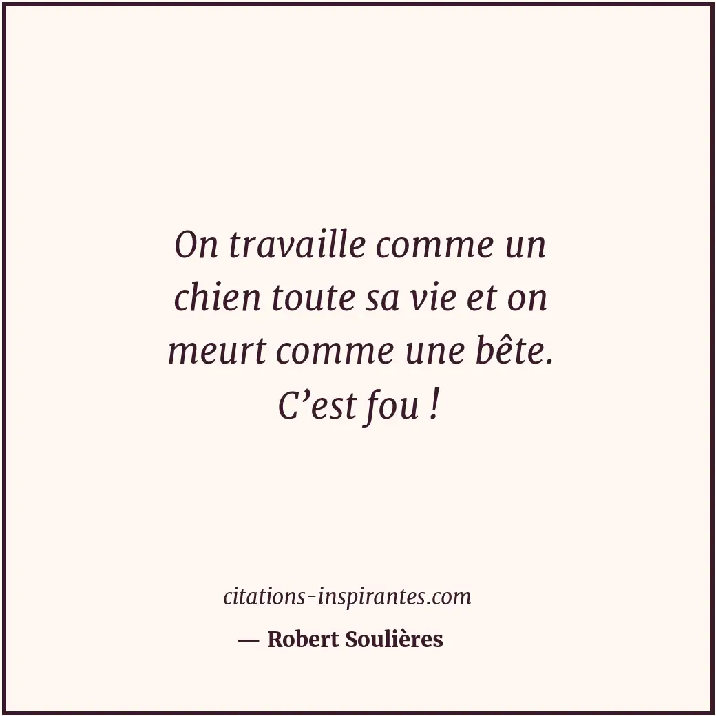 Citation de Robert Soulières