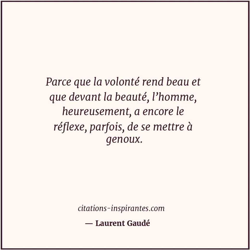 Citation de Laurent Gaudé