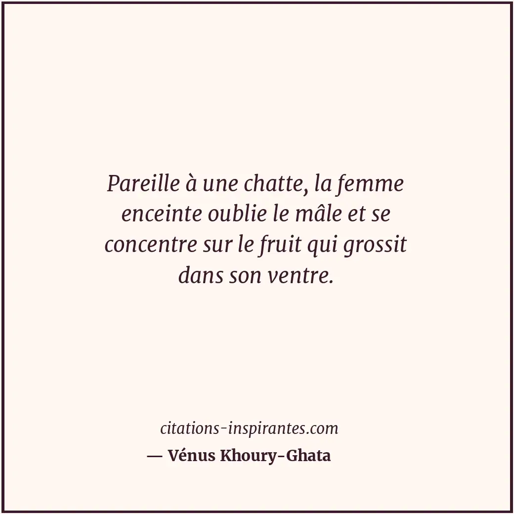 Citation de Vénus Khoury-Ghata